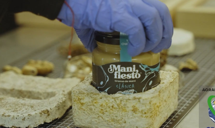 Manifiesto Club: valorizan las cáscaras de maní para envases compostables para la industria