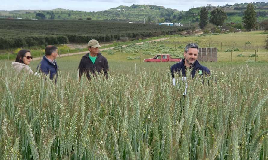 Agricultores y estudiantes del Secano aprenden manejo sustentable de suelos y agua