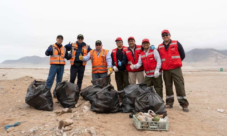 Más de una tonelada de basura recogieron voluntarios en operativo de limpieza en humedal de Chañaral
