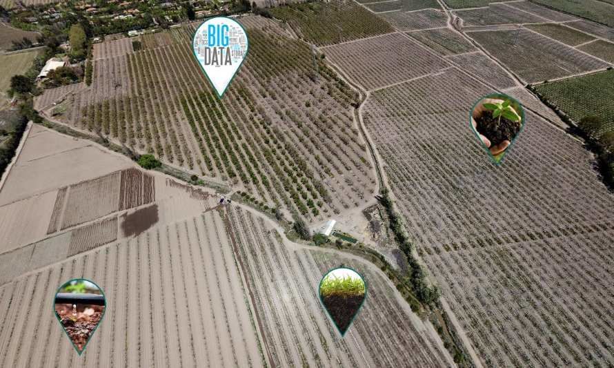 Encuentro Conecta Ñuble: asistentes conocieron propuesta de campo inteligente o smartfield