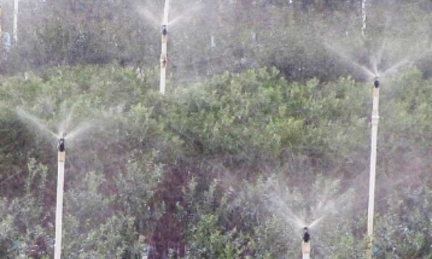 ¿Cómo proteger los cultivos agrícolas durante las heladas?