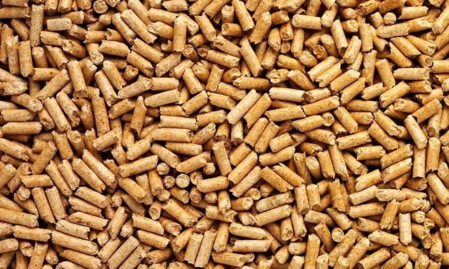 Con tecnología utilizada en agricultura mejorarán calidad de pellets en calefactores domiciliarios