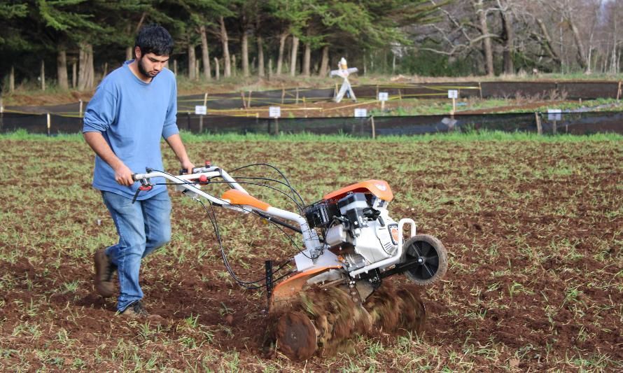 Productores de la provincia de Arauco se focalizan en la agricultura sostenible