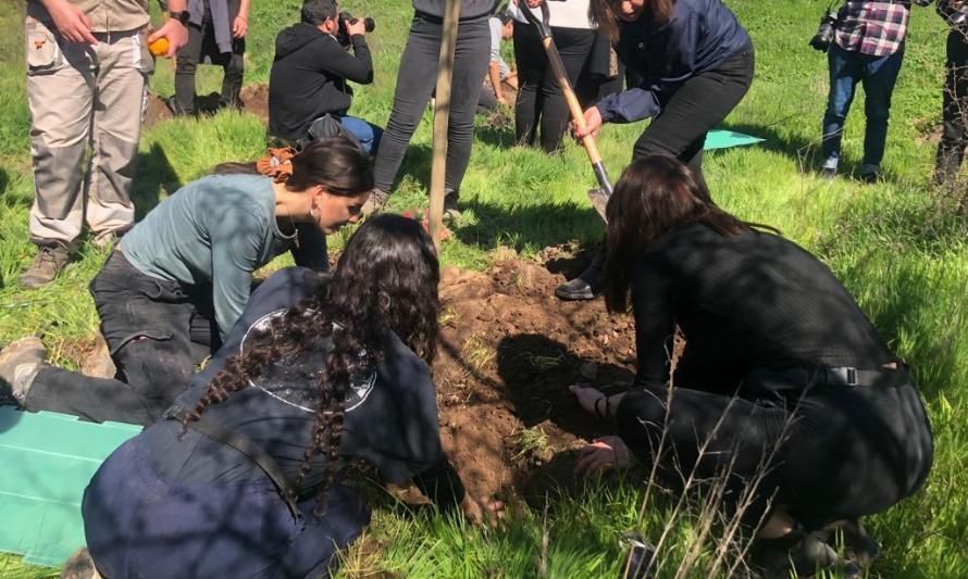 Árboles por la Memoria: estudiantes de Pudahuel y comunidad U. de Chile realiza masiva plantación de árboles en Parque Carén 