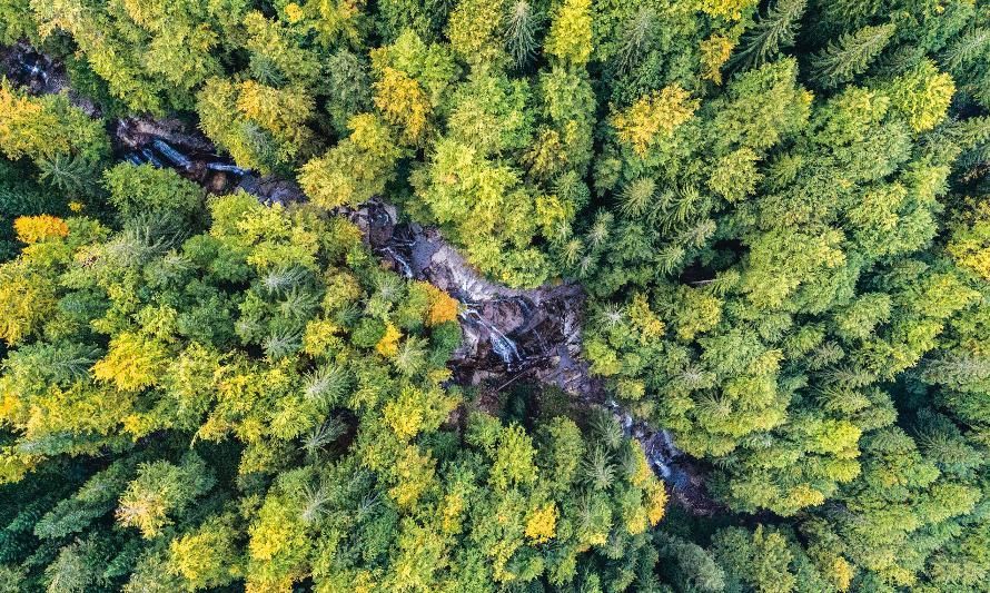 Patagonia a un año de convertir a La Tierra en su único accionista: Más allá de las modas