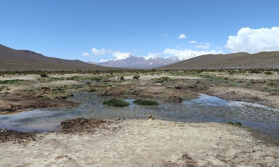 Se aprueba conciliación en la demanda por daño ambiental en contra de Minera Cerro Colorado