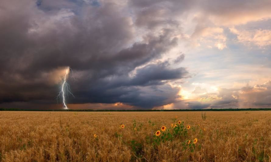 Participa en la consulta ciudadana del Plan Nacional de Adaptación al Cambio Climático del sector Silvoagropecuario 2024-2028