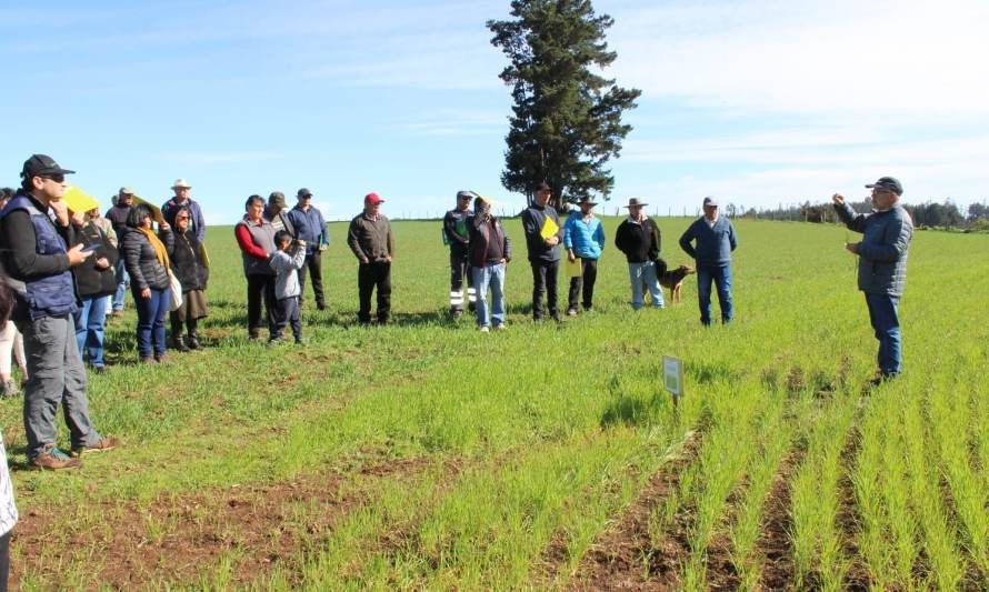 Iniciativas en agricultura sostenible en Provincia de Arauco fueron presentadas en Congreso de Agroecología