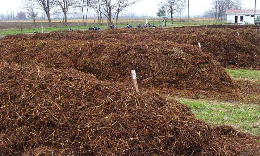 Se inicia programa que promueve reutilización de residuos agrícolas