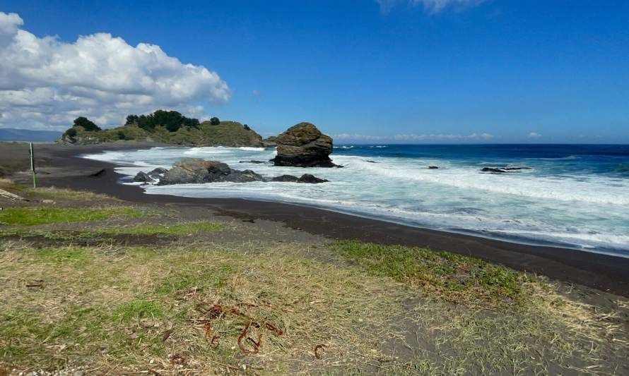 Humedal Desembocadura Río Biobío es oficialmente un Santuario de la Naturaleza