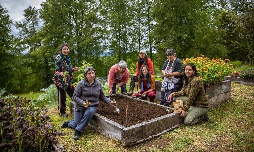 Exposición “Huerta Museo” invita a explorar la belleza y  riqueza de las variedades de porotos del sur