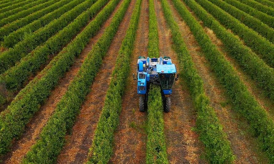 Los principales desafíos de la industria agrícola para el 2024