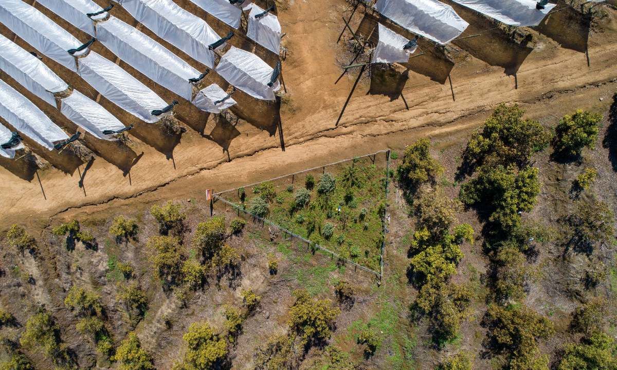 Centro UNAB implementará tecnologías en la agroindustria para reducir sus residuos y ayudarla a enfrentar la crisis climática