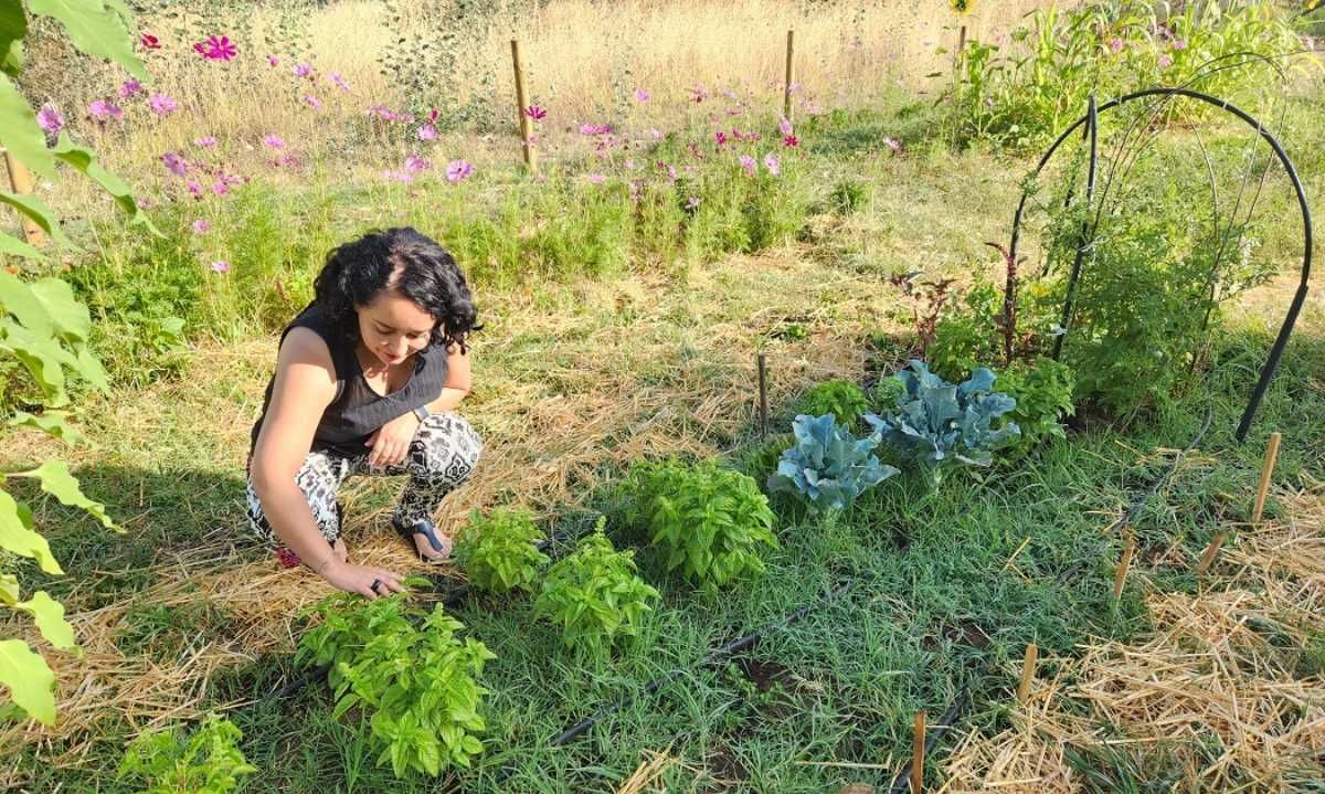 Investigadora de INIA implementó huerta agroecológica comunitaria utilizando residuos vegetales domiciliaros
