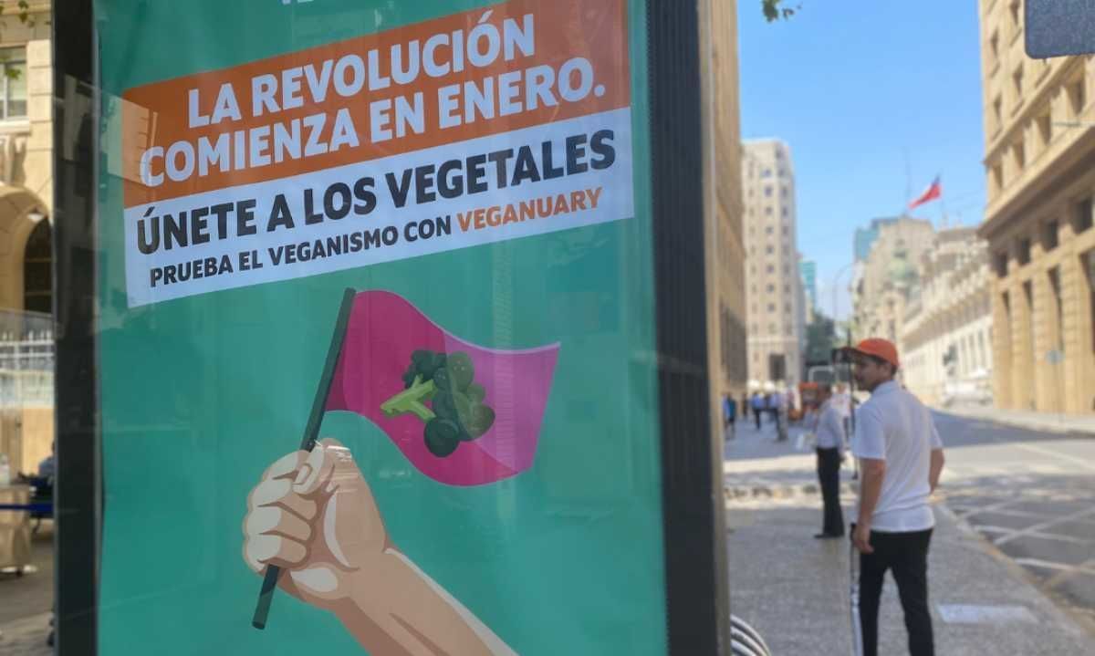 Enero Vegano 2024: El auge del veganismo en Latinoamérica y su impacto en Chile