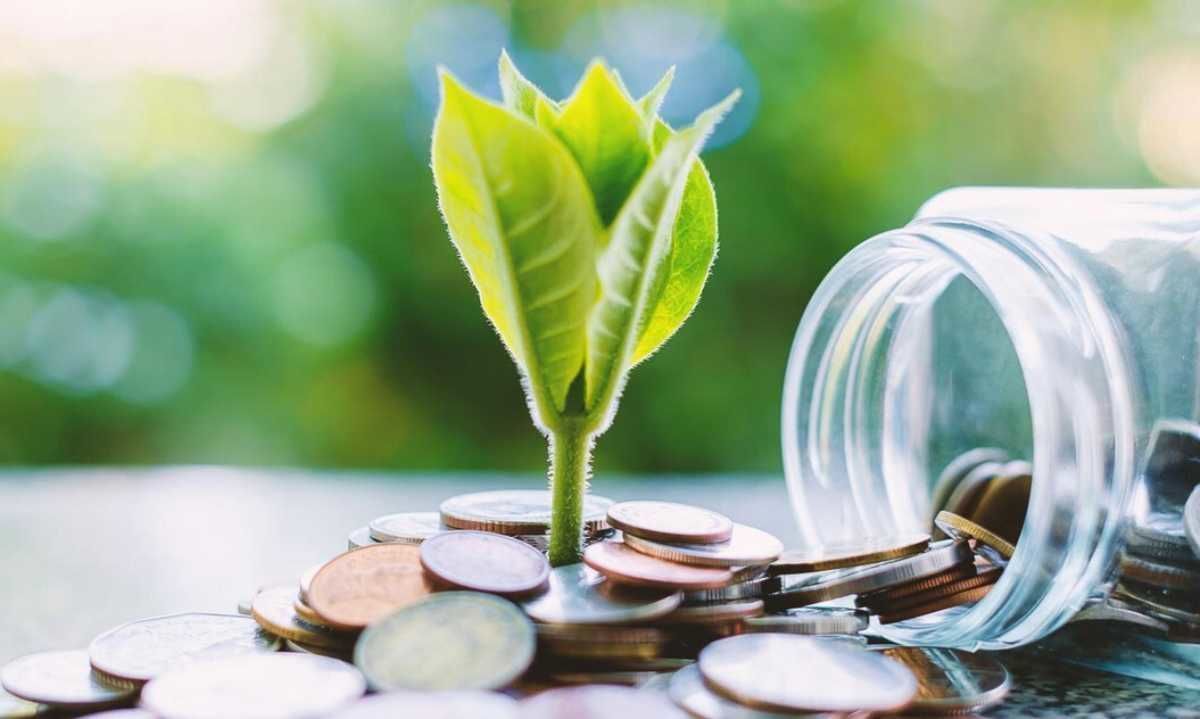 ¿Qué son los productos financieros verdes y por qué importan tanto?