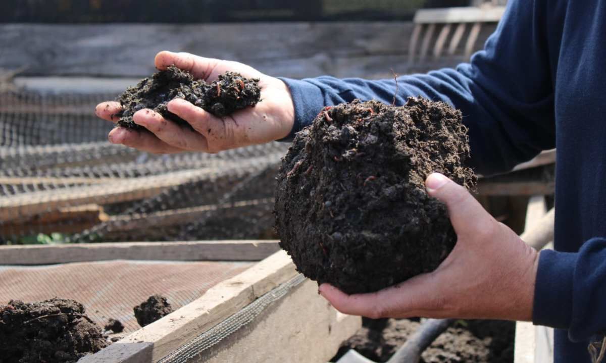 Agricultura sostenible se transforma en prioridad para productores de la provincia de Arauco