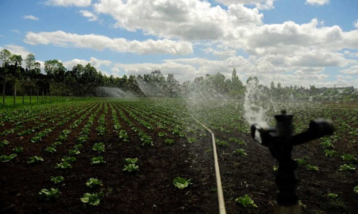 Lanzan campaña “Sigue la corriente del agua y utilízala en regla”