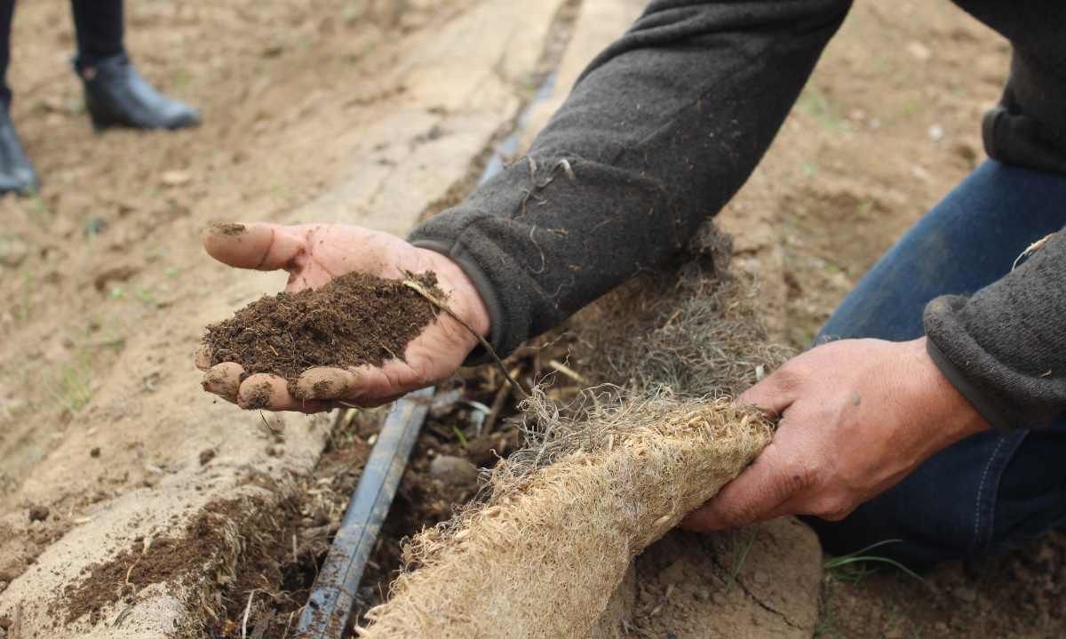 Centro de Extensión en Agroecología en Chile para promover la economía circular