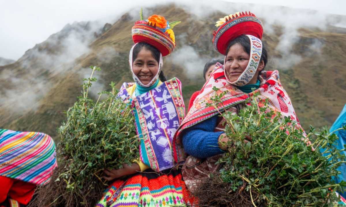 Acción Andina: la ONG que quiere reforestar la Cordillera de los Andes