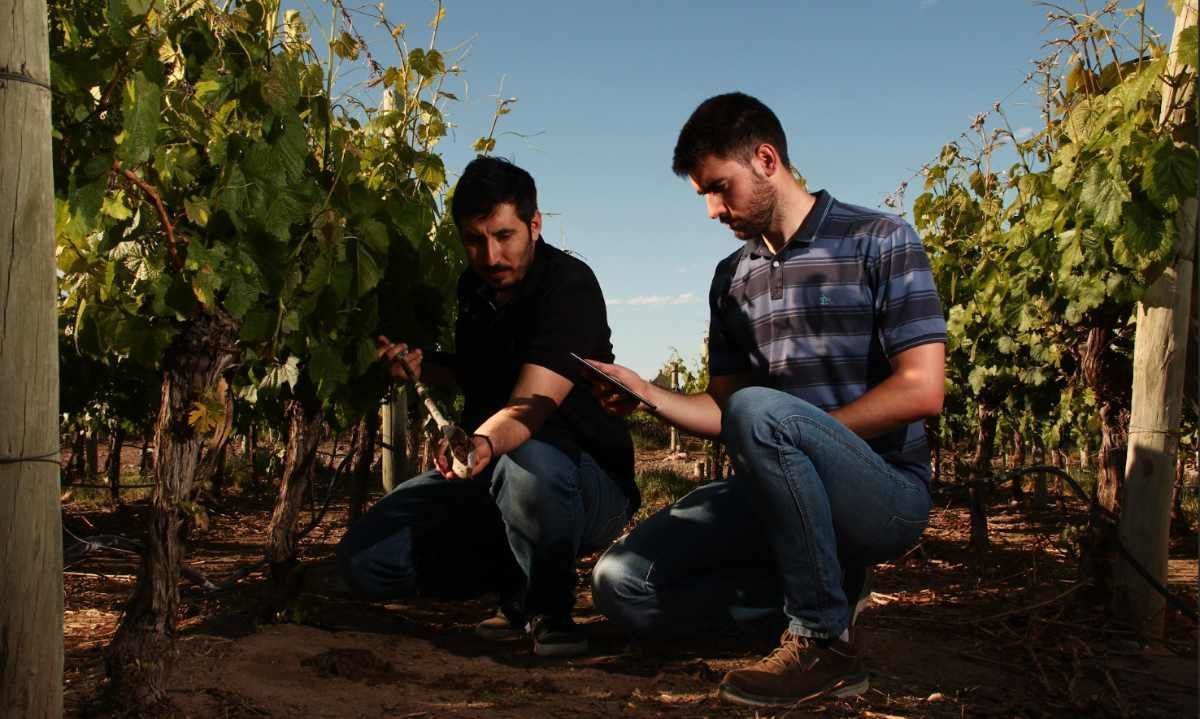 Climate Tech genera beneficios para agricultores y empresas que operan en una misma cuenca