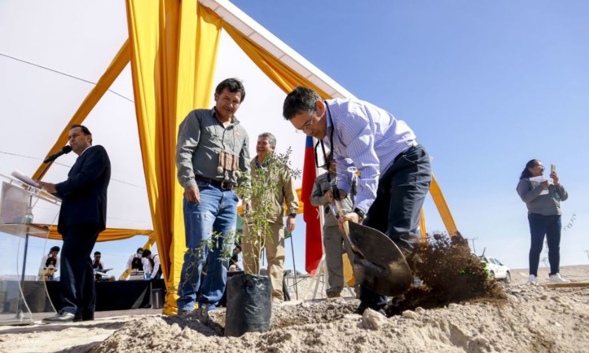Inversión de más de $ 1.700 millones: Inician construcción de pulmón verde en Calama