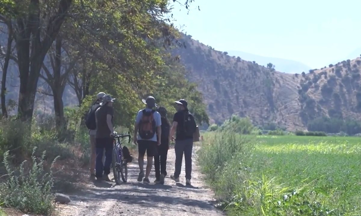 Biocorredor El Trebal: armonía entre la ciudad y la naturaleza