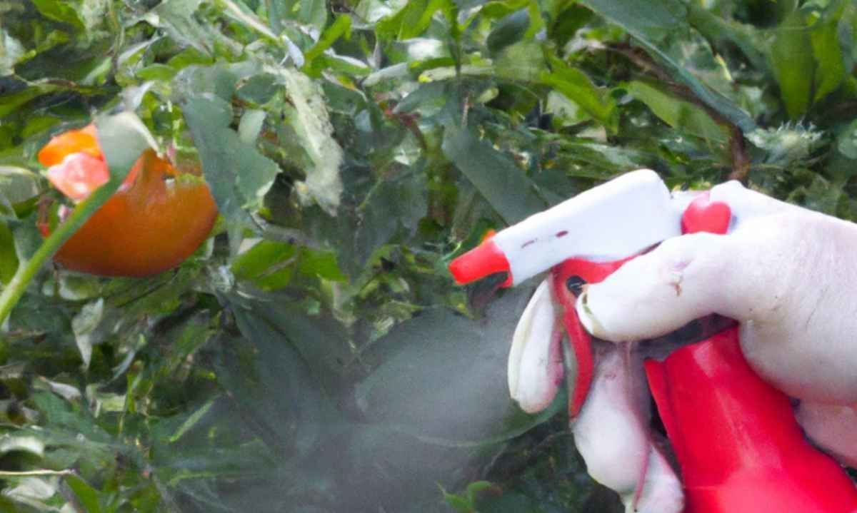 Proyecto busca obtener hortalizas agroecológicas utilizando biocontroladores