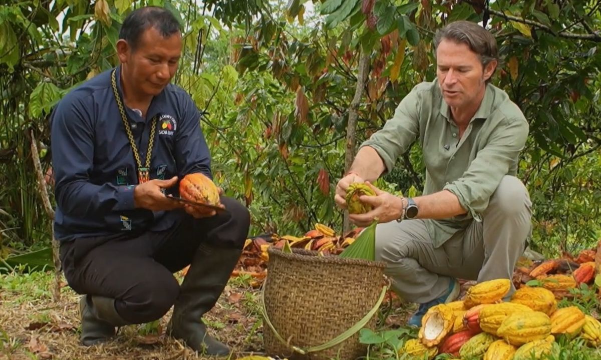 Paccari: el galardonado chocolate ecuatoriano producido de forma responsable