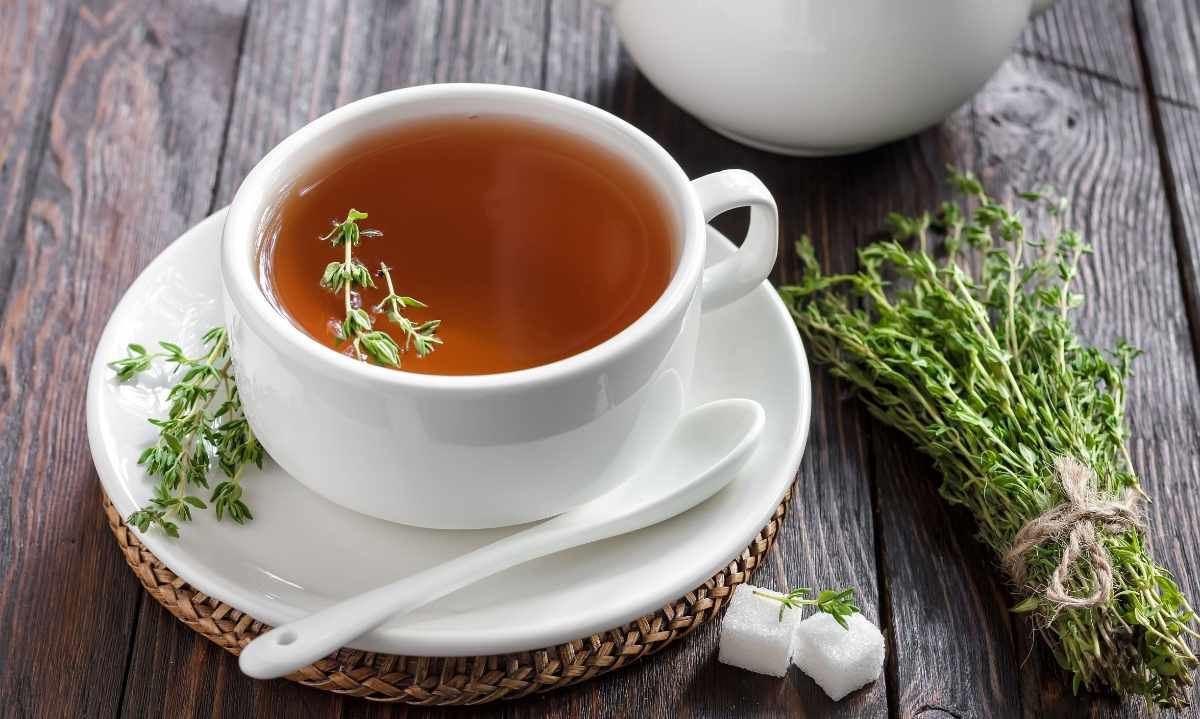 Infusiones de hierbas para combatir el resfriado y la tos