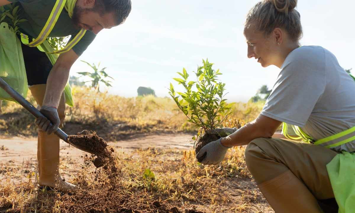 Reforestación en Laguna Peñuelas: Más de 250 voluntarios plantarán 6 mil árboles nativos