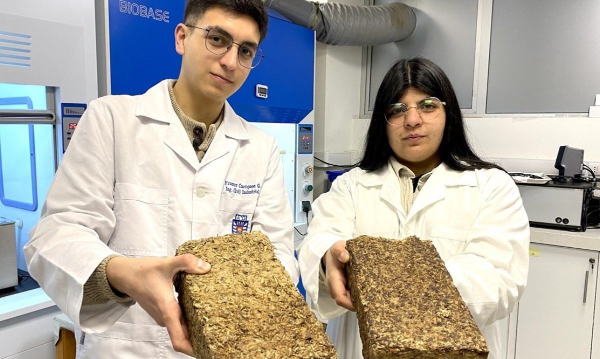 Jóvenes crean leña ecológica para disminuir la contaminación del sur de Chile