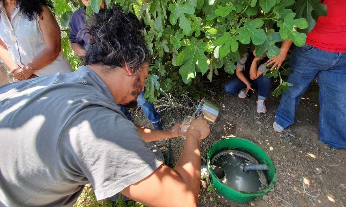 Biofiltros permitirán reutilizar el agua domiciliaria para la pequeña agricultura