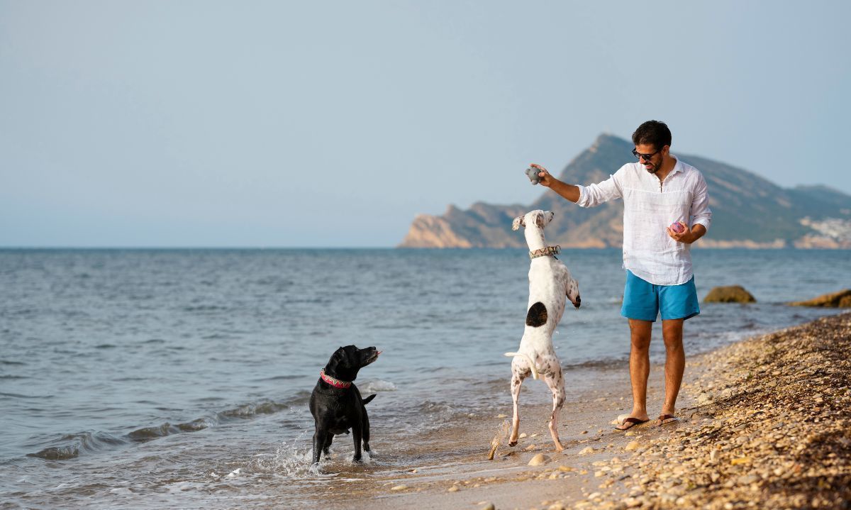 Conoce el impacto ambiental de llevar mascotas a la playa y cómo prevenirlo
