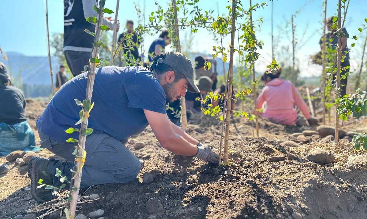 Sendero Ecológico en el Humedal Mapocho Urbano de Talagante: Un modelo de regeneración ecosocial y sostenibilidad