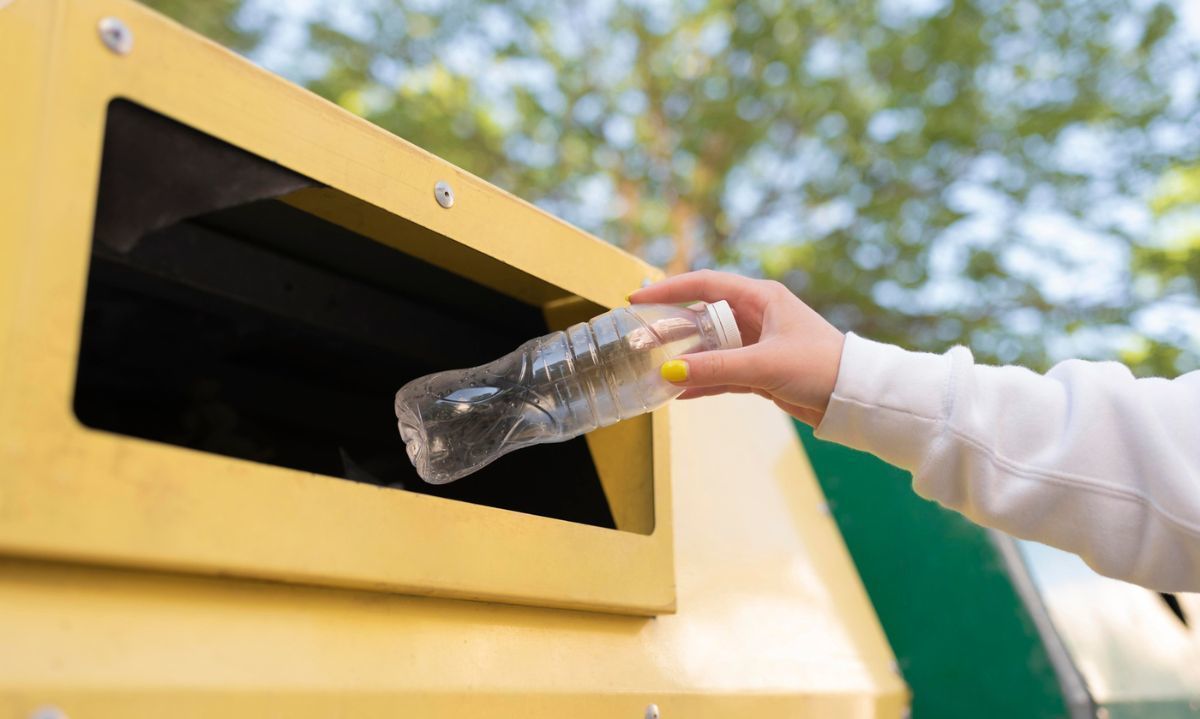 Conoce los puntos limpios de reciclaje en Los Ángeles (Actualizado 2024)