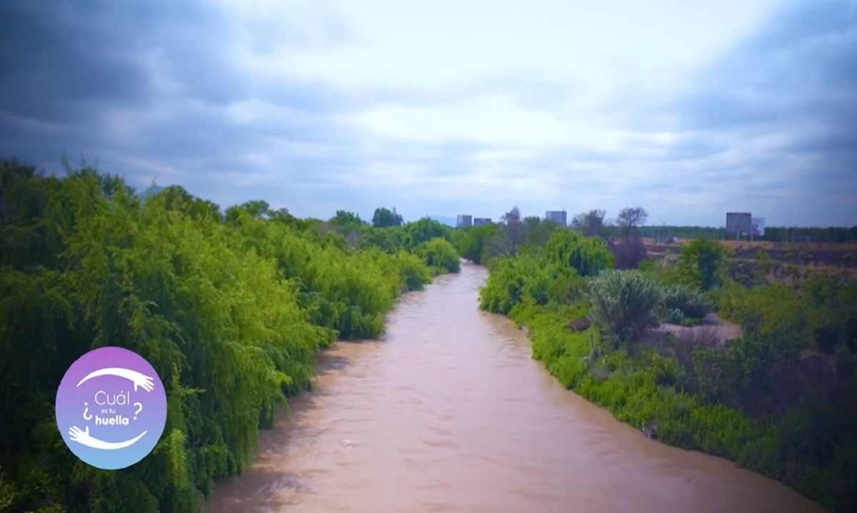 Mapocho Vivo: Preservación y exploración del patrimonio natural del Río Mapocho