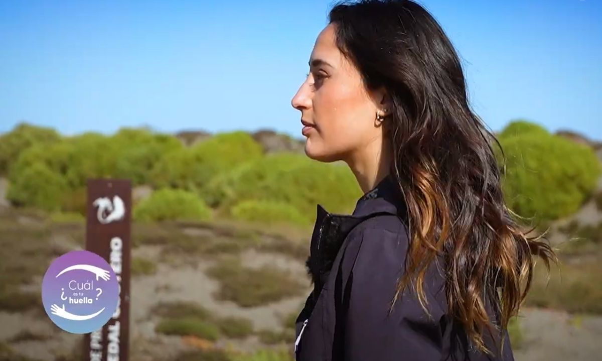 T10 CAP 13: Ecosistemas Naturales