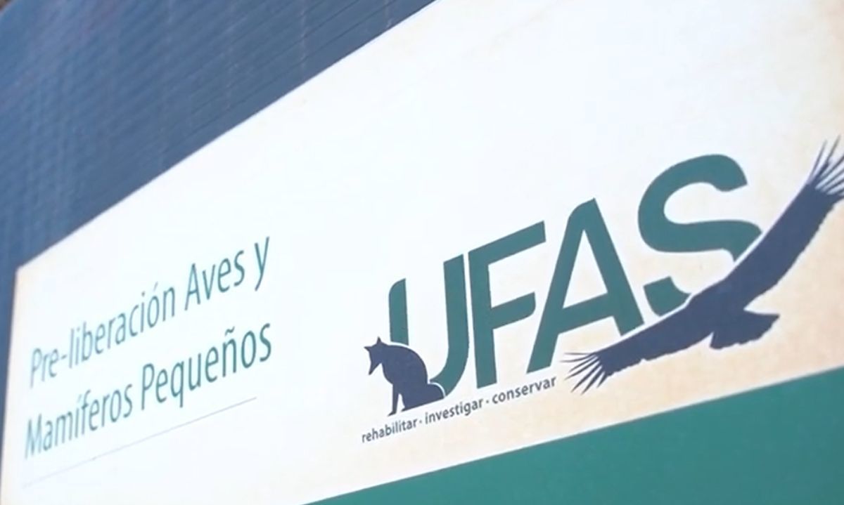 UFAS: Educación, investigación, rehabilitación y reinserción de fauna silvestre