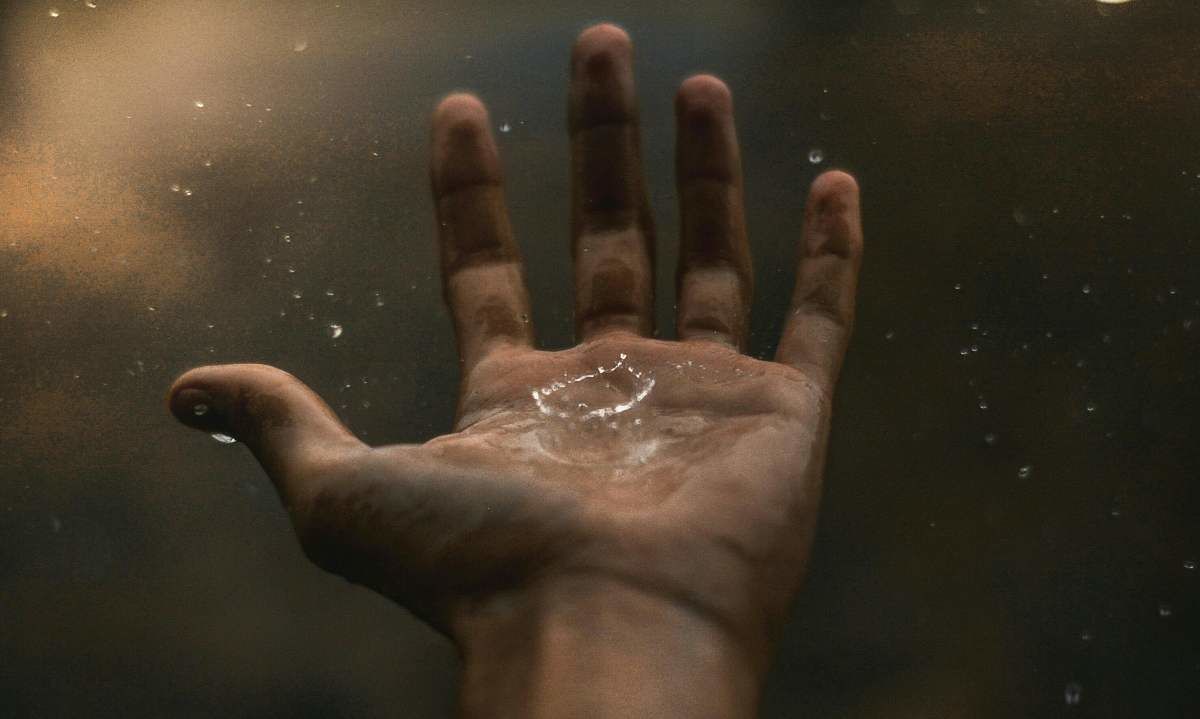 Innovaciones en la industria alimentaria pueden reducir hasta un 50% el consumo de agua