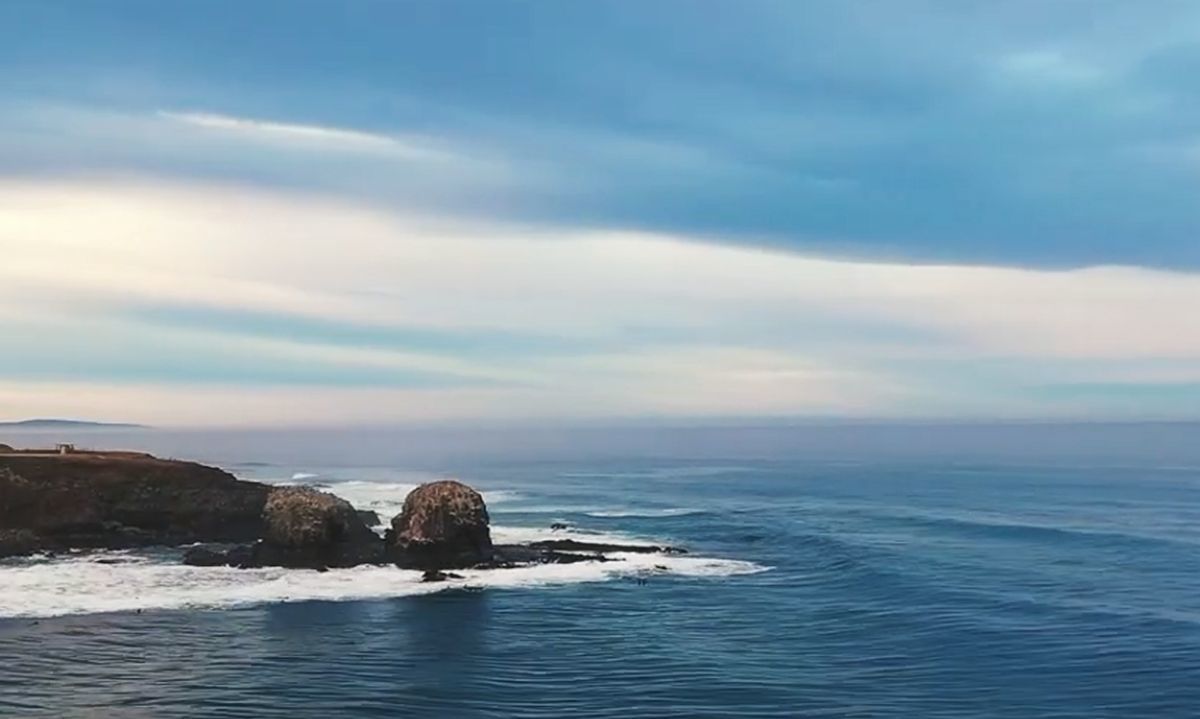 Parque Punta de Lobos: Promover la conservación y educación marina