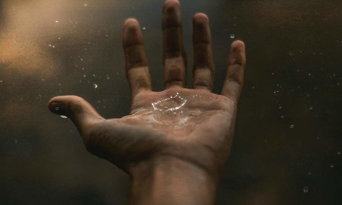 Innovaciones en la industria alimentaria pueden reducir hasta un 50% el consumo de agua