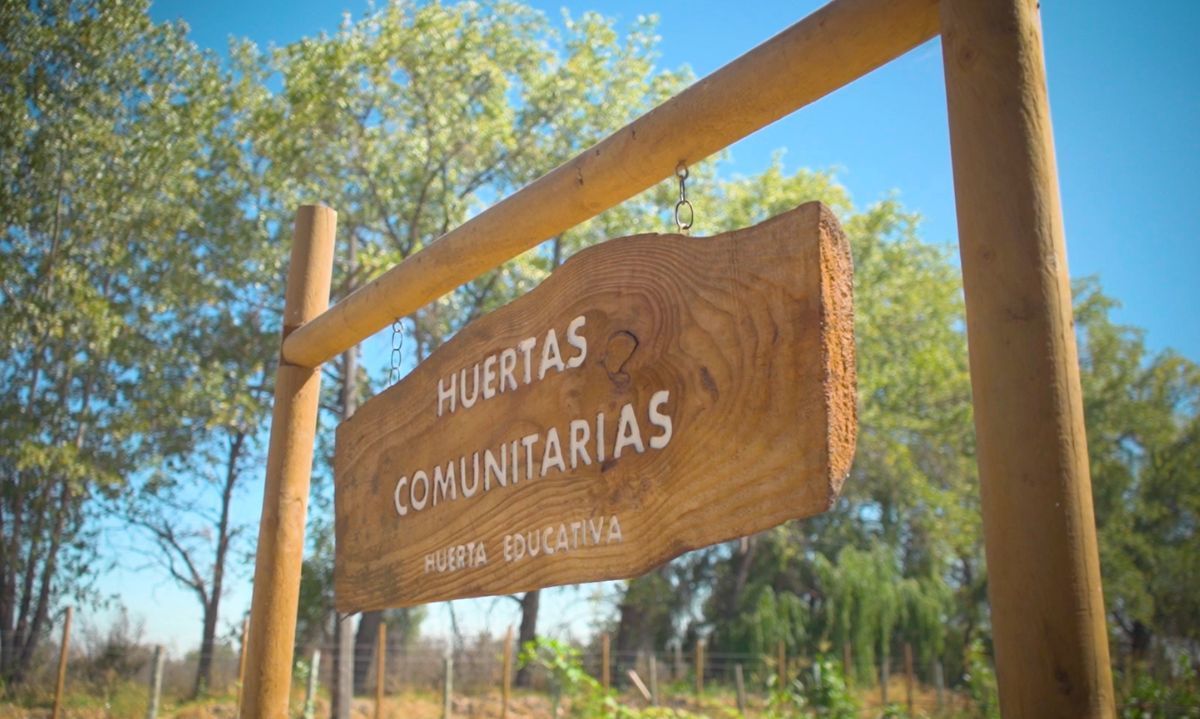 Huertas comunitarias: Sostenibilidad y trabajo en equipo en la producción de alimentos