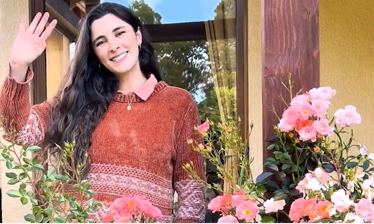 El Jardín de Irenee: Tips de cuidado para plantas y flores