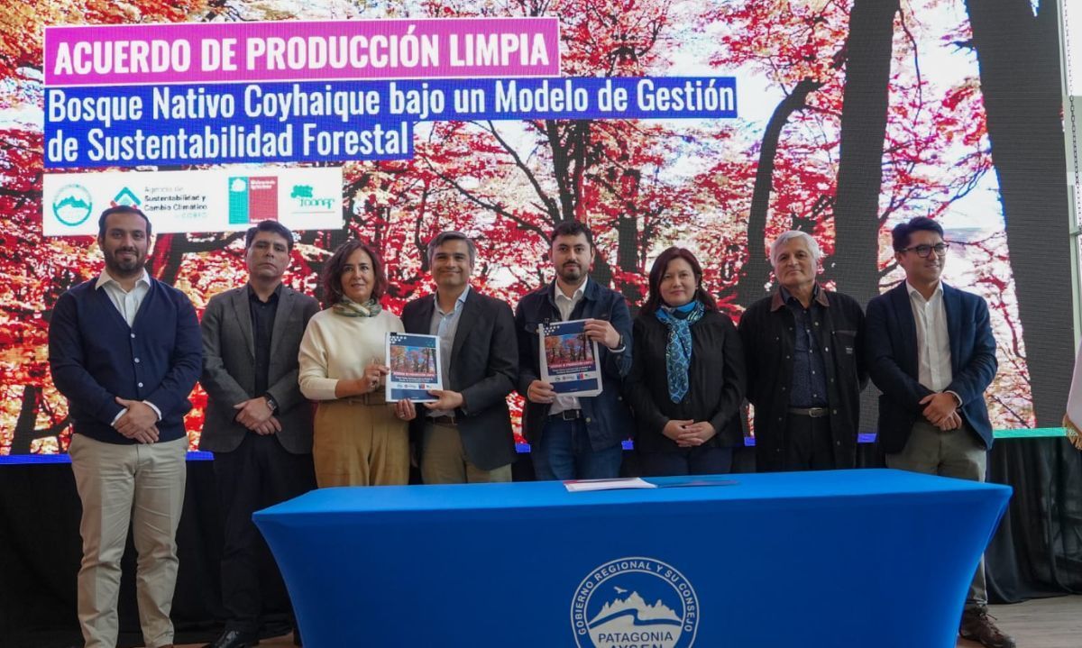 Empresas propietarias de bosque nativo y servicios públicos buscan fortalecer la competitividad del sector