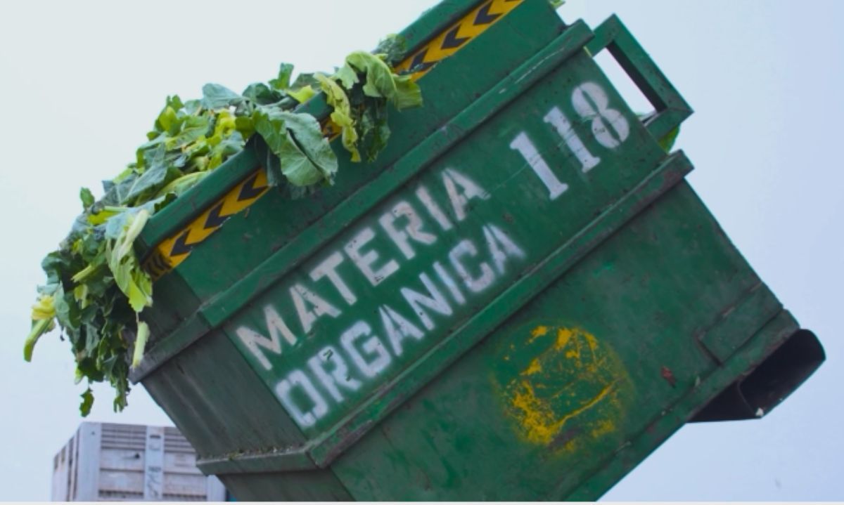 Mercado Lo Valledor: Apoyo a las familias campesinas con prácticas agrícolas responsables