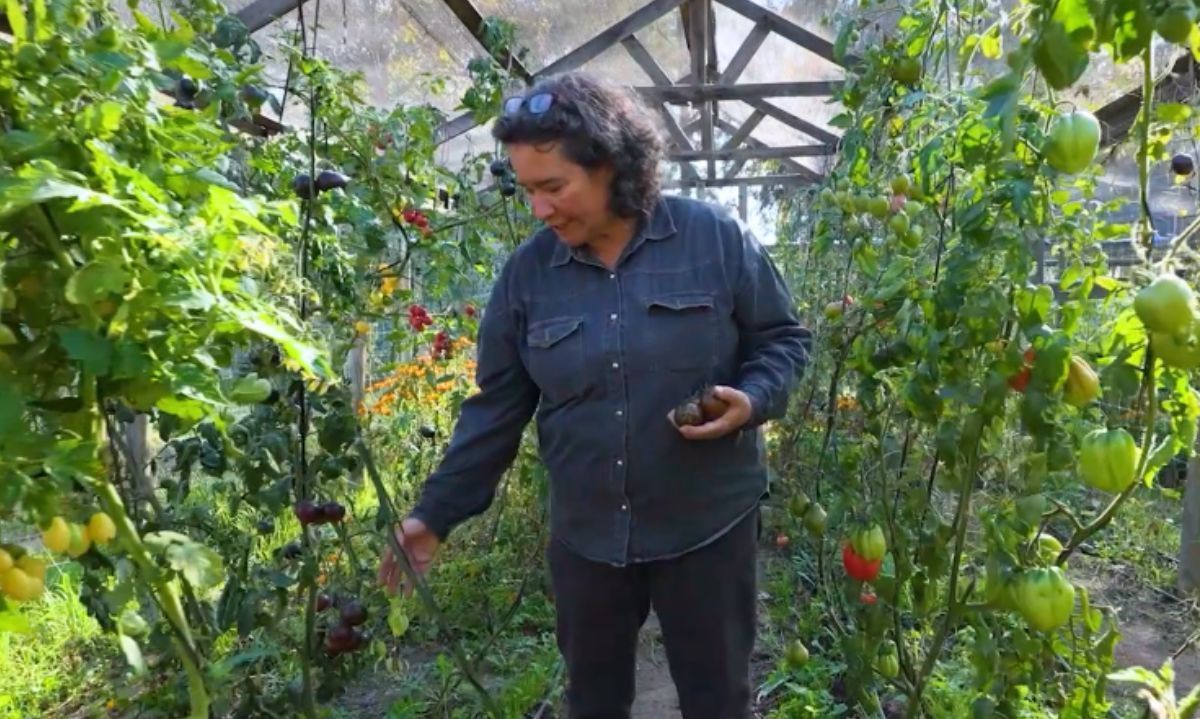 Terra Apia: Agroecología y recuperación de prácticas y semillas ancestrales
