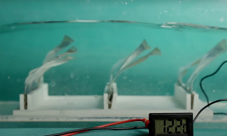 En esta fotografía se puede ver el experimento de los ingenieros chinos para cosechar la energía del mar. Unos sensores flotan a merced de la energía del agua, recolectando la energía que se produce a través de la frotación