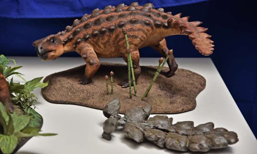 Descubren nueva especie de dinosaurio en la Patagonia chilena - ¿Cuál es tu  huella?