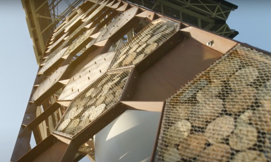 En esta imagen se puede ver el mástil de una gigante paleta publicitaria que se modificó para crear un hotel para las abejas